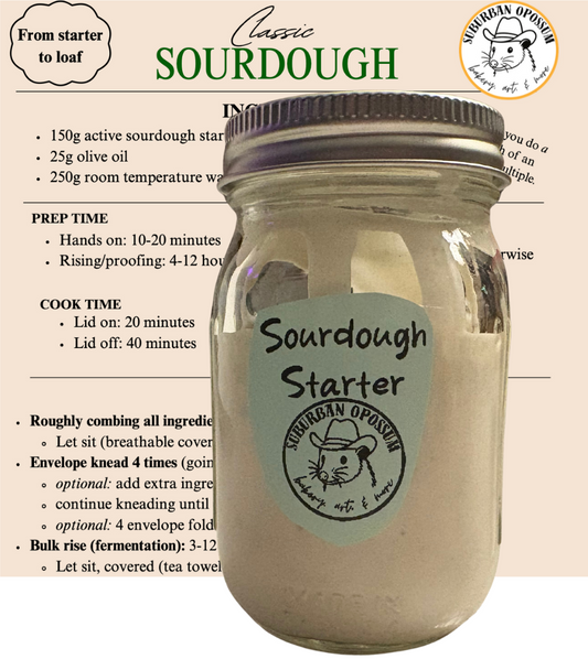 Sourdough Starter + Recipe